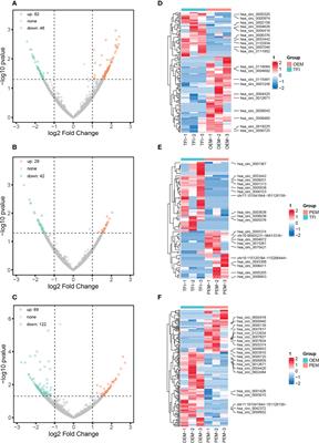 Bioinformatic analysis confirms differences in circular RNA expression profiles of cumulus cells between patients with ovarian and peritoneal endometriosis-associated infertility